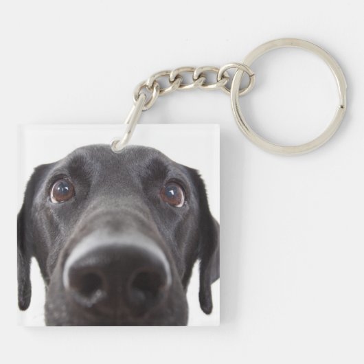 Black Labrador Closeup Portrait Sleutelhanger (Achterkant)