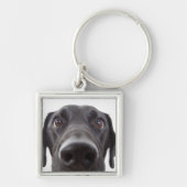 Black Labrador Closeup Portrait Sleutelhanger (Voorkant)