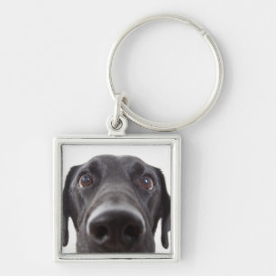 Black Labrador Closeup Portrait Sleutelhanger