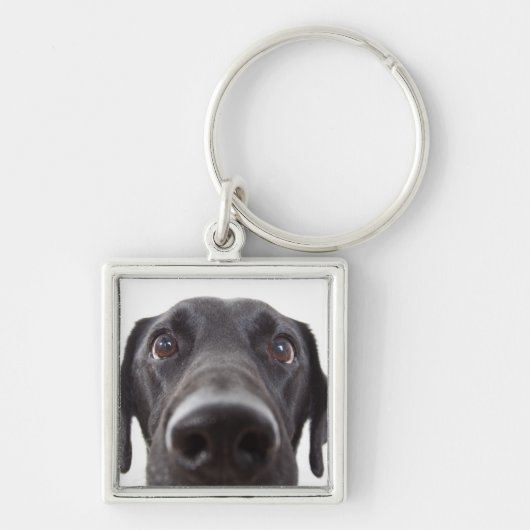 Black Labrador Closeup Portrait Sleutelhanger (Voorkant)
