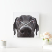Black Labrador Closeup Portrait Vierkante Klok (Huis)