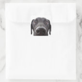 Black Labrador Closeup Portrait Vierkante Sticker (Tas)