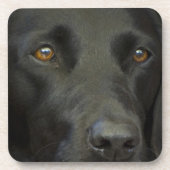 Black Labrador Dog Bier Onderzetter (Voorkant)