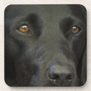 Black Labrador Dog Bier Onderzetter