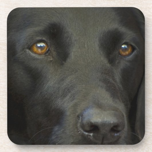 Black Labrador Dog Bier Onderzetter (Voorkant)