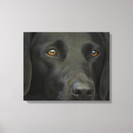 Black Labrador Dog Canvas Afdruk