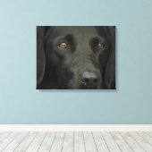Black Labrador Dog Canvas Afdruk (Insitu (Houten vloer))