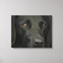 Black Labrador Dog Canvas Afdruk