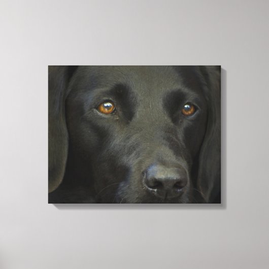 Black Labrador Dog Canvas Afdruk (Voorkant)