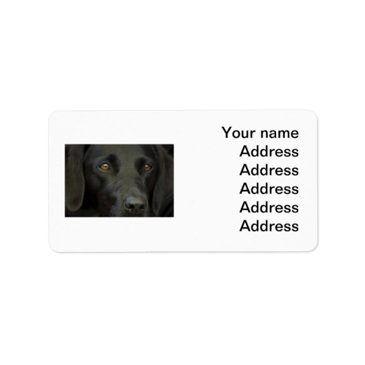 Black Labrador Dog Etiket (Voorkant)