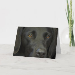 Black Labrador Dog Kaart