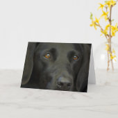 Black Labrador Dog Kaart (Gele Bloem)