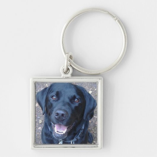 Black Labrador Dog Key Ring Sleutelhanger (Voorkant)
