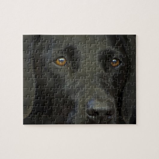 Black Labrador Dog Legpuzzel (Horizontaal)