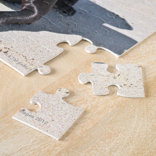 Black Labrador Dog, op het strand Legpuzzel (Zijkant)