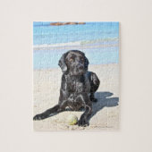 Black Labrador Dog, op het strand Legpuzzel (Verticaal)