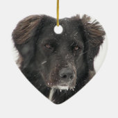 Black Labrador Dog Pet Foto Keramisch Ornament (Achterkant)