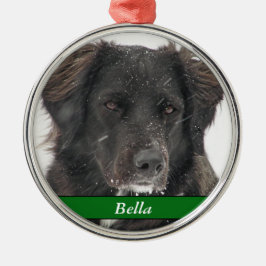 Black Labrador Dog Pet Foto Naam Metalen Ornament
