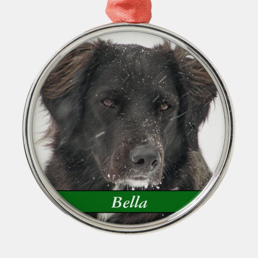 Black Labrador Dog Pet Foto Naam Metalen Ornament (Voorkant)