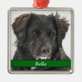 Black Labrador Dog Pet Foto Naam Metalen Ornament