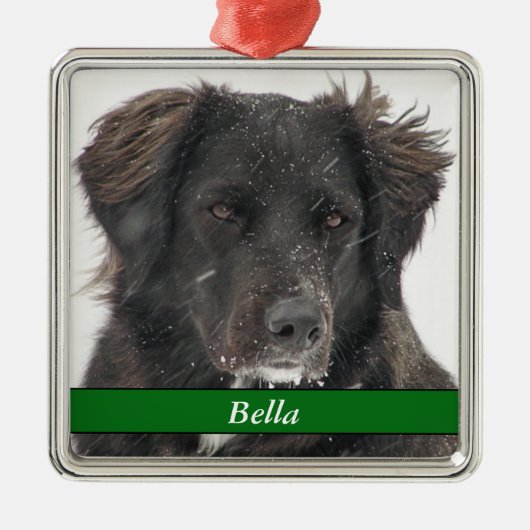 Black Labrador Dog Pet Foto Naam Metalen Ornament (Voorkant)