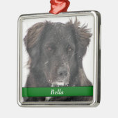 Black Labrador Dog Pet Foto Naam Metalen Ornament (Links)