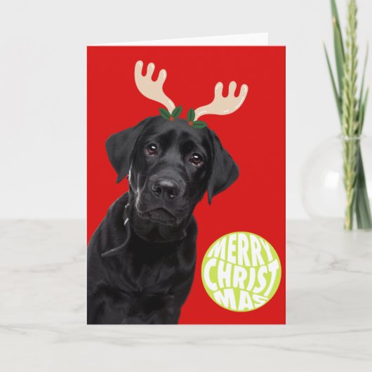 Black Labrador Dog PetCristmas Tennis Ball Funny Feestdagen Kaart (Voorkant)