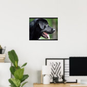 Black Labrador Dog Poster (Thuiskantoor)