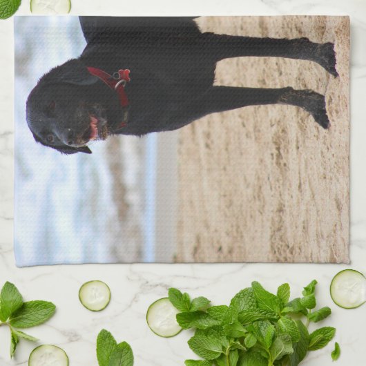 Black Labrador Dog Theedoek (Gevouwen)