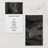 Black Labrador Dog Visitekaartje (Voorkant / Achterkant)
