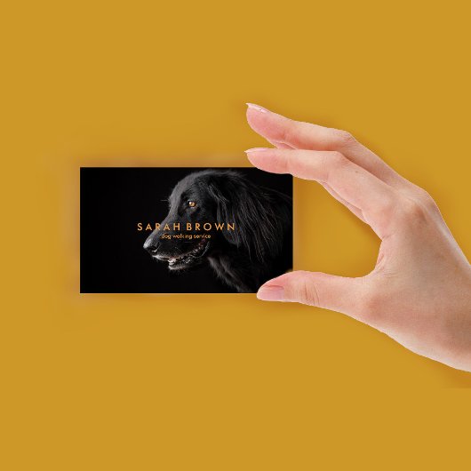 Black Labrador Dog Walker/Pet Sitter/Groomer Visitekaartje