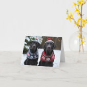 Black Labrador Dogs Christmas Kaart (Gele Bloem)