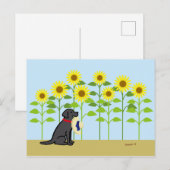 Black Labrador en Sunflower Summer Briefkaart (Voorkant / Achterkant)