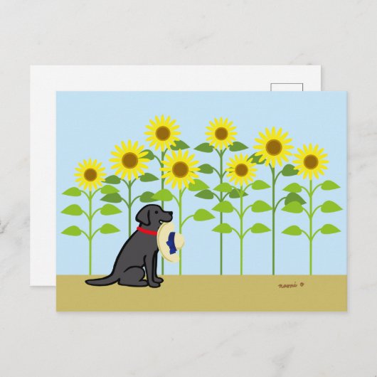 Black Labrador en Sunflower Summer Briefkaart (Voorkant / Achterkant)