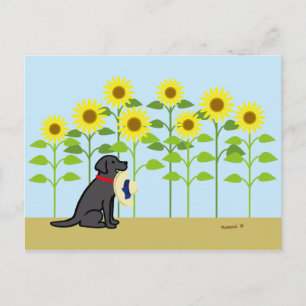 Black Labrador en Sunflower Summer Briefkaart