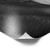 Black Labrador Extra Small Photo Enlaring Foto Afdruk (Hoek)