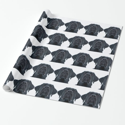 Black Labrador Facing Cadeaupapier (Uitgerold)