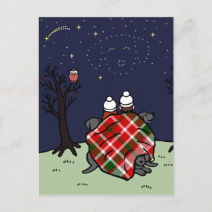 Black Labrador Family en Starry Sky Briefkaart