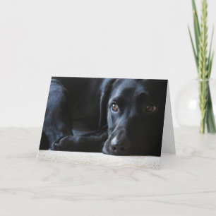 Black Labrador Feestdagen Kaart