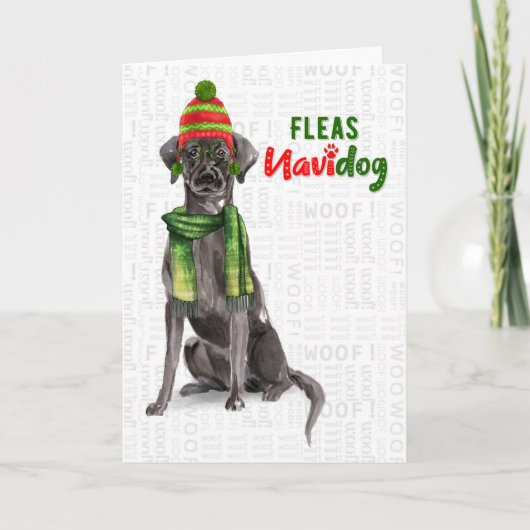Black Labrador Funny Fleas Navidog Kersthotel Feestdagen Kaart (Voorkant)