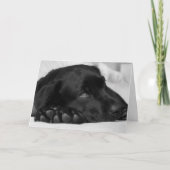 Black Labrador Get Well Card Kaart (Voorkant)