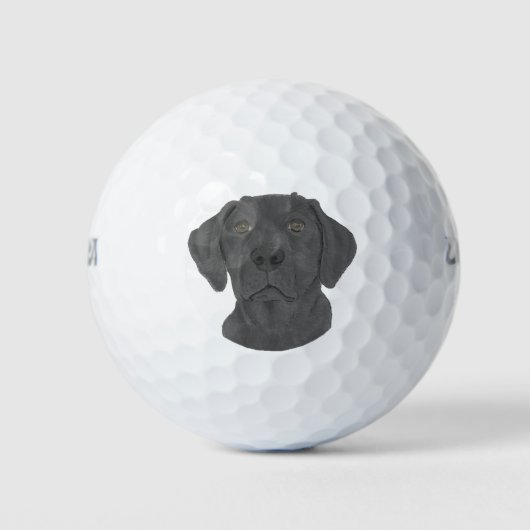 Black Labrador Golfballen (Voorkant)