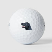 Black Labrador Golfballen (Voorkant)