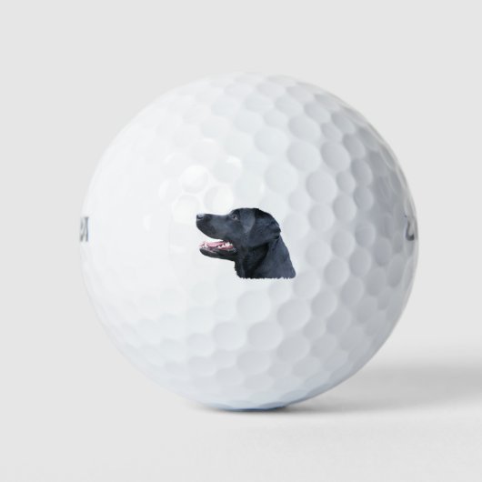 Black Labrador Golfballen (Voorkant)