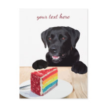 Black Labrador - Happy Birthday - Bedankt - Dog