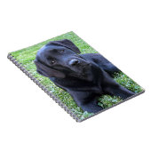 Black Labrador Hondenliefhebber Puppy Notitieboek (Rechterzijde)