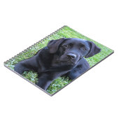 Black Labrador Hondenliefhebber Puppy Notitieboek (Linkerzijde)