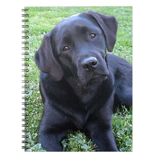 Black Labrador Hondenliefhebber Puppy Notitieboek (Voorkant)