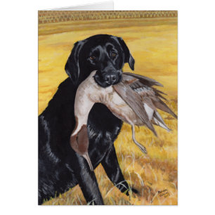 Black Labrador Hunting Dog