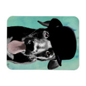 Black Labrador in Bowler Pet Magneet (Horizontaal)